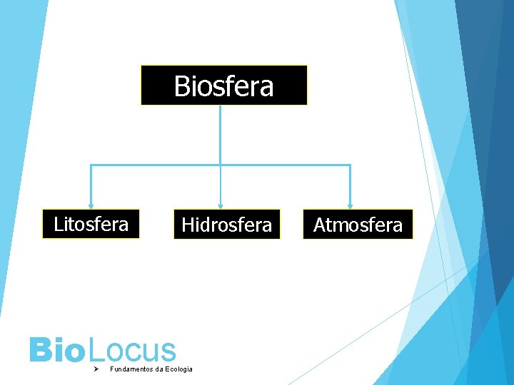 Biosfera Litosfera Bio. Locus Ø Hidrosfera Fundamentos da Ecologia Atmosfera 