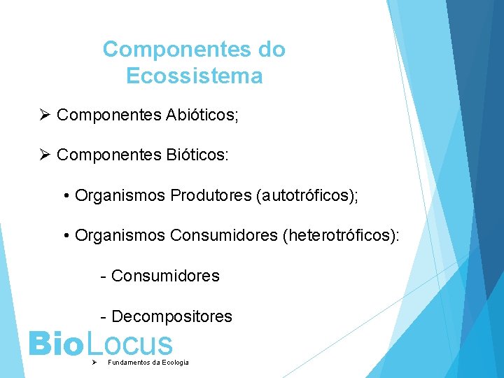 Componentes do Ecossistema Ø Componentes Abióticos; Ø Componentes Bióticos: • Organismos Produtores (autotróficos); •