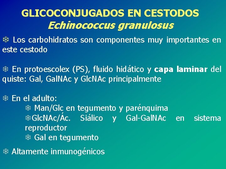 GLICOCONJUGADOS EN CESTODOS Echinococcus granulosus T Los carbohidratos son componentes muy importantes en este