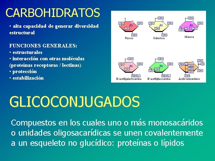 CARBOHIDRATOS • alta capacidad de generar diversidad estructural FUNCIONES GENERALES: • estructurales • interacción