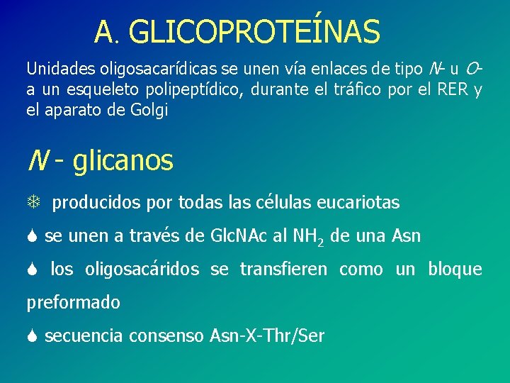 A. GLICOPROTEÍNAS Unidades oligosacarídicas se unen vía enlaces de tipo N- u Oa un