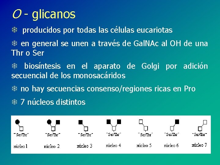 O - glicanos T producidos por todas las células eucariotas T en general se