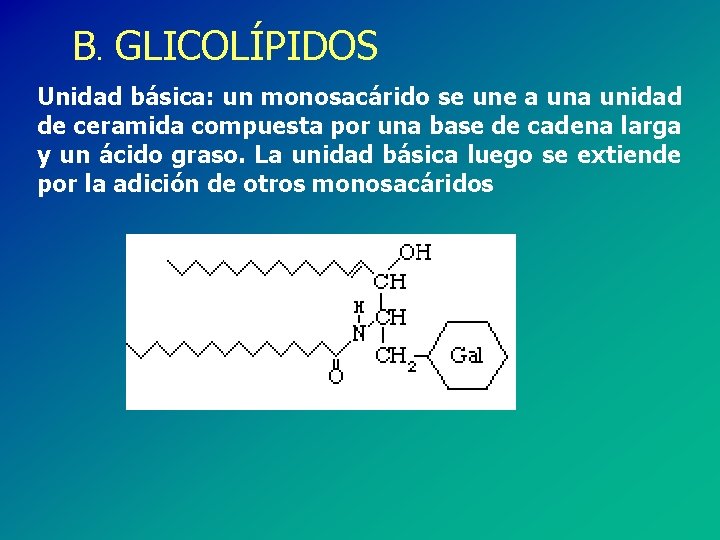 B. GLICOLÍPIDOS Unidad básica: un monosacárido se une a unidad de ceramida compuesta por