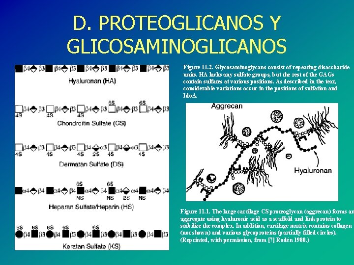 D. PROTEOGLICANOS Y GLICOSAMINOGLICANOS Figure 11. 2. Glycosaminoglycans consist of repeating disaccharide units. HA