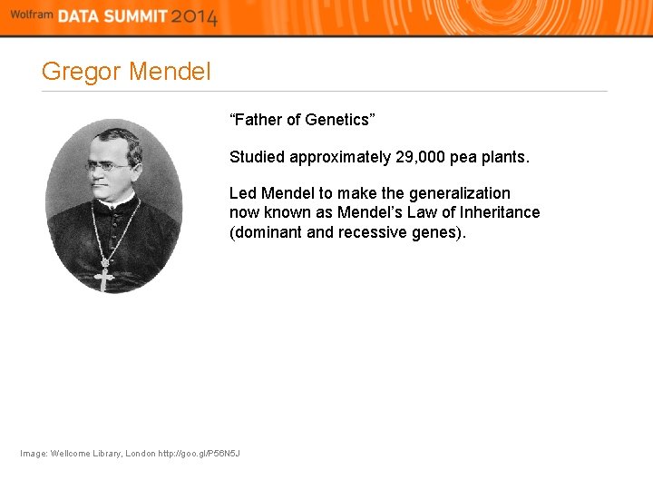 Gregor Mendel “Father of Genetics” Studied approximately 29, 000 pea plants. Led Mendel to