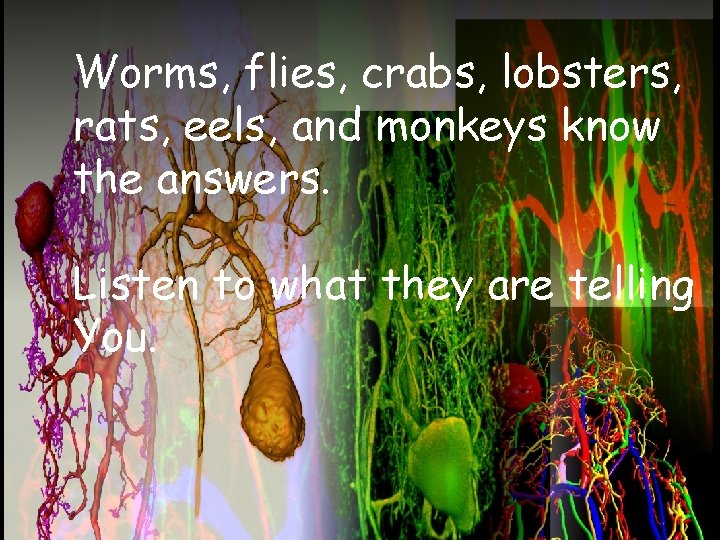 Worms, flies, crabs, lobsters, rats, eels, and monkeys know the answers. Listen to what