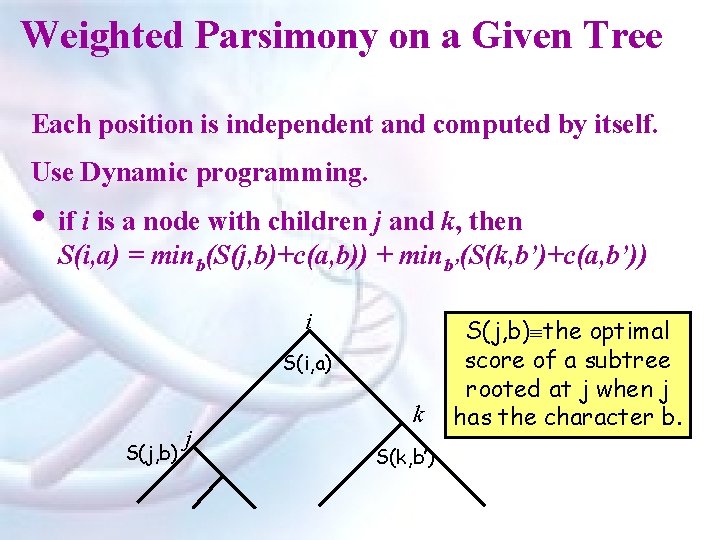 Weighted Parsimony on a Given Tree Each position is independent and computed by itself.