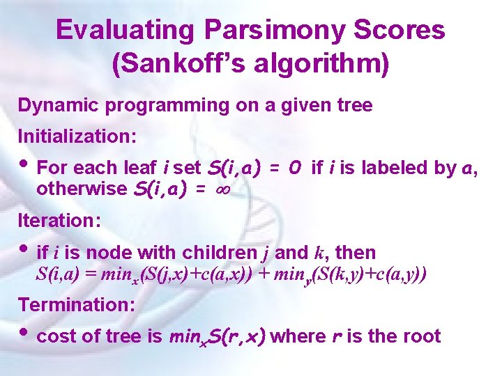 Evaluating Parsimony Scores (Sankoff’s algorithm) Dynamic programming on a given tree Initialization: • For