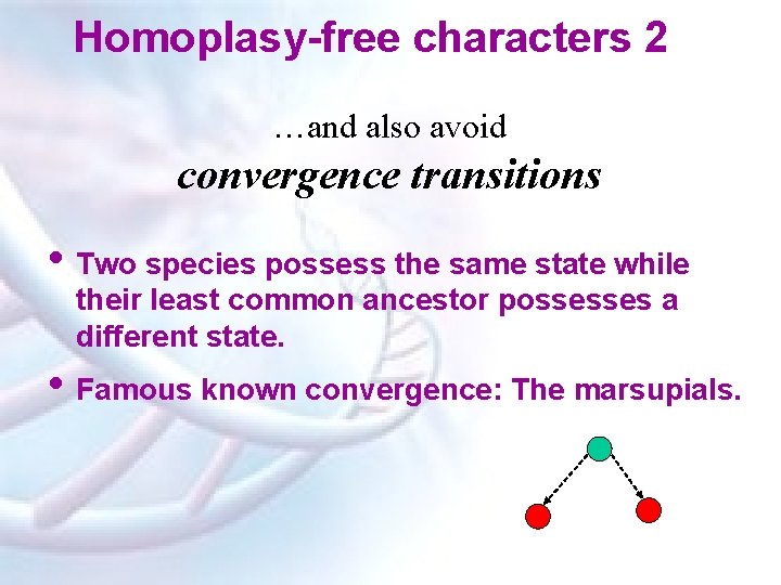 Homoplasy-free characters 2 …and also avoid convergence transitions • Two species possess the same