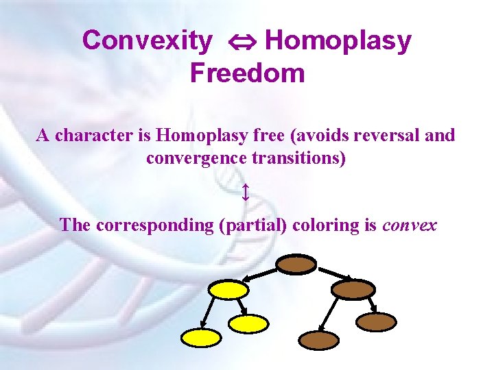 Convexity Homoplasy Freedom A character is Homoplasy free (avoids reversal and convergence transitions) ↕