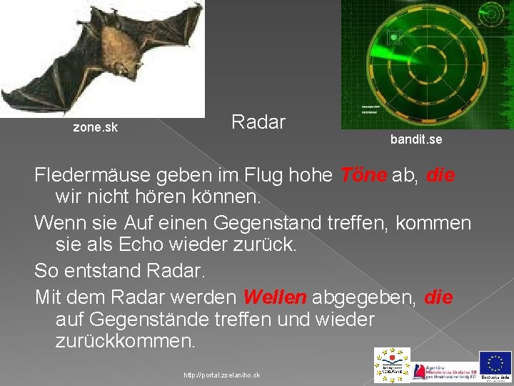 zone. sk Radar bandit. se Fledermäuse geben im Flug hohe Töne ab, die wir