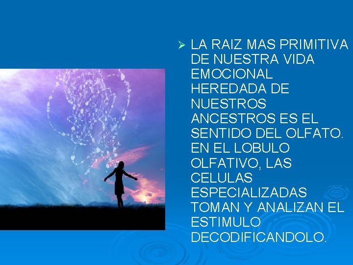 Ø LA RAIZ MAS PRIMITIVA DE NUESTRA VIDA EMOCIONAL HEREDADA DE NUESTROS ANCESTROS ES