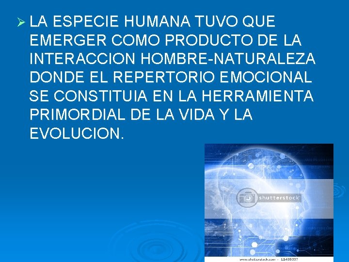 Ø LA ESPECIE HUMANA TUVO QUE EMERGER COMO PRODUCTO DE LA INTERACCION HOMBRE-NATURALEZA DONDE