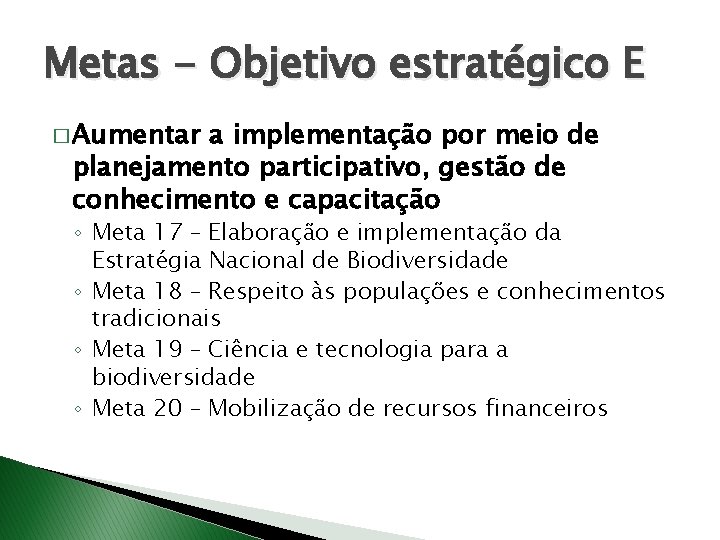 Metas - Objetivo estratégico E � Aumentar a implementação por meio de planejamento participativo,