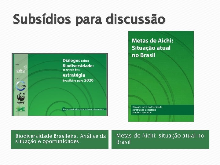 Subsídios para discussão Biodiversidade Brasileira: Análise da situação e oportunidades Metas de Aichi: situação