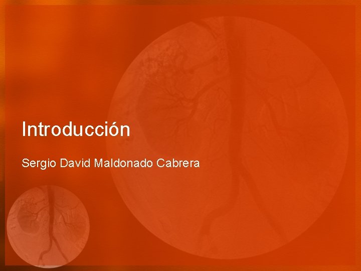 Introducción Sergio David Maldonado Cabrera 