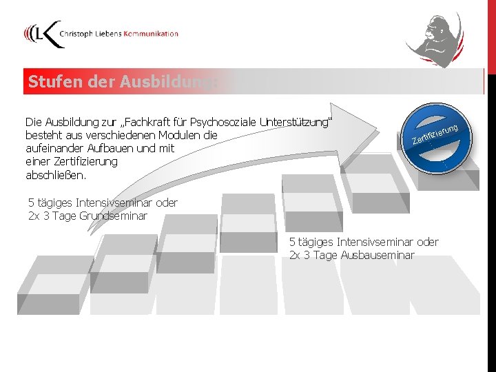 Stufen der Ausbildung: Die Ausbildung zur „Fachkraft für Psychosoziale Unterstützung“ besteht aus verschiedenen Modulen