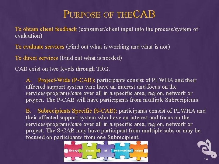 PURPOSE OF THE CAB To obtain client feedback (consumer/client input into the process/system of