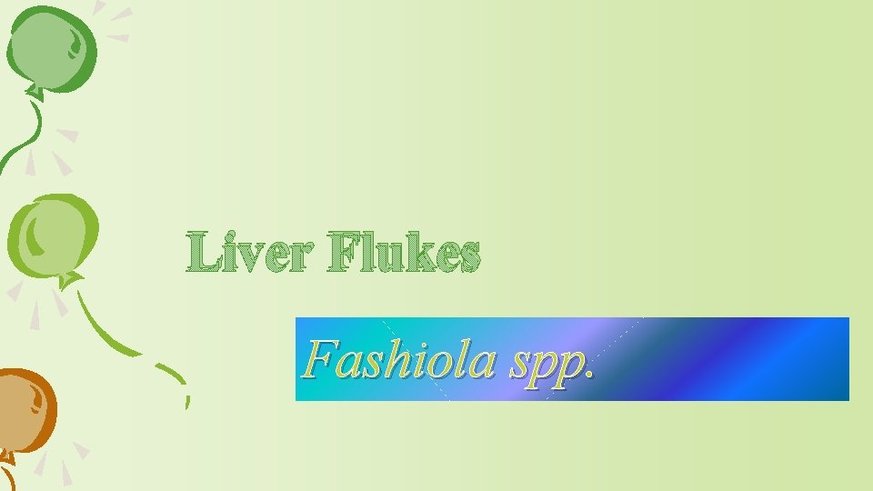 Liver Flukes Fashiola spp. 