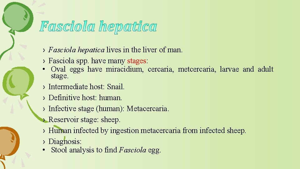 › Fasciola hepatica lives in the liver of man. › Fasciola spp. have many