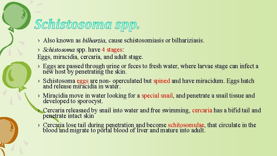 › Also known as bilharzia, cause schistosomiasis or bilhariziasis. › Schistosoma spp. have 4
