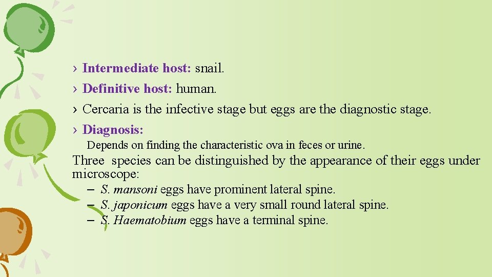 › › Intermediate host: snail. Definitive host: human. Cercaria is the infective stage but