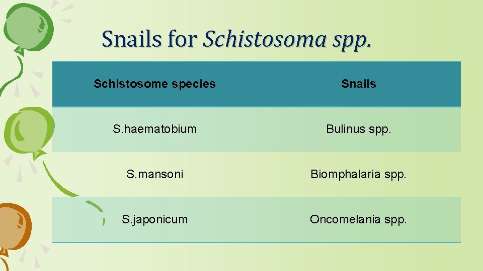 Snails for Schistosoma spp. Schistosome species Snails S. haematobium Bulinus spp. S. mansoni Biomphalaria