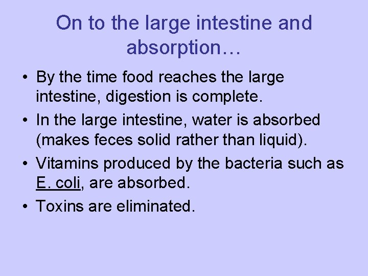 On to the large intestine and absorption… • By the time food reaches the
