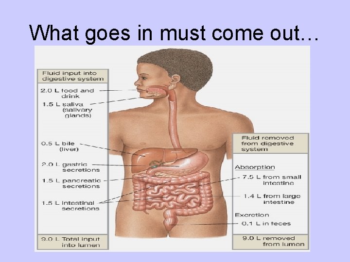 What goes in must come out… 