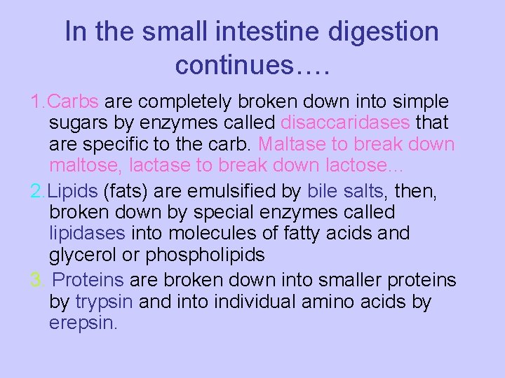 In the small intestine digestion continues…. 1. Carbs are completely broken down into simple