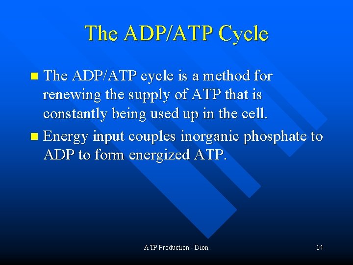 The ADP/ATP Cycle The ADP/ATP cycle is a method for renewing the supply of
