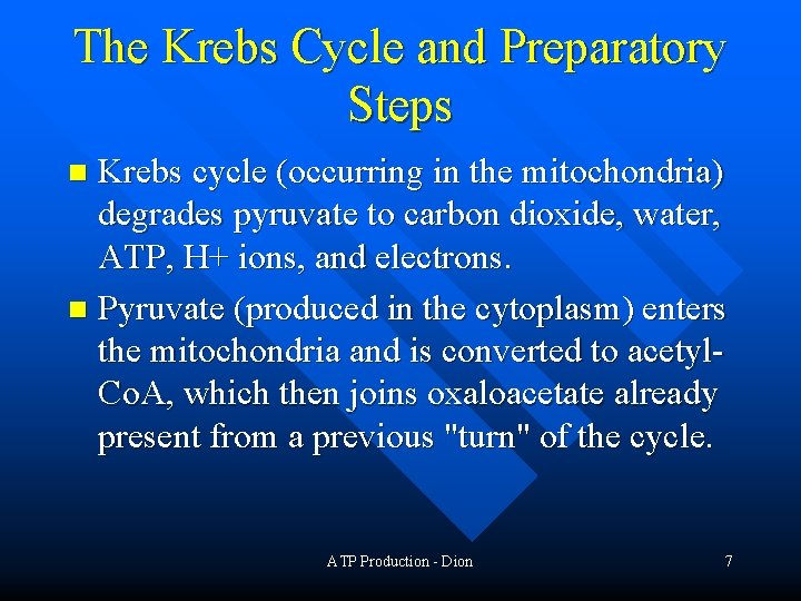 The Krebs Cycle and Preparatory Steps Krebs cycle (occurring in the mitochondria) degrades pyruvate