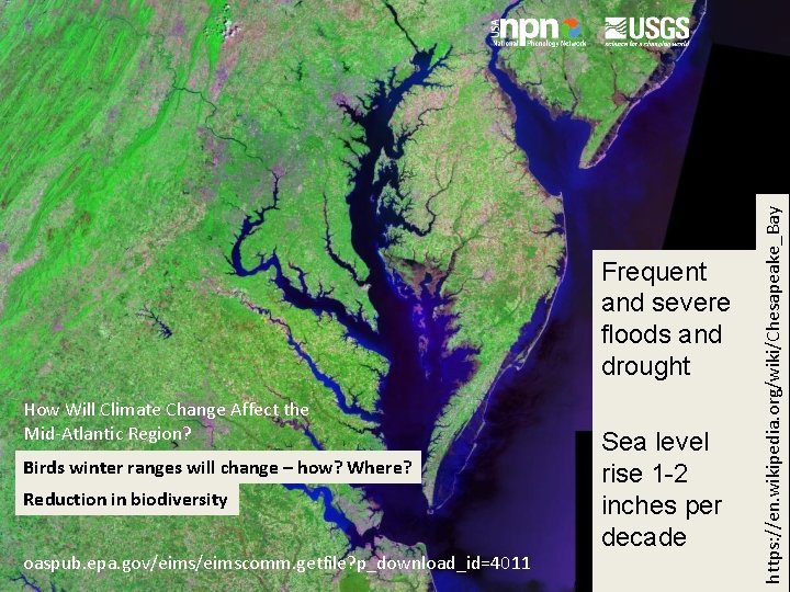 How Will Climate Change Affect the Mid-Atlantic Region? Birds winter ranges will change –