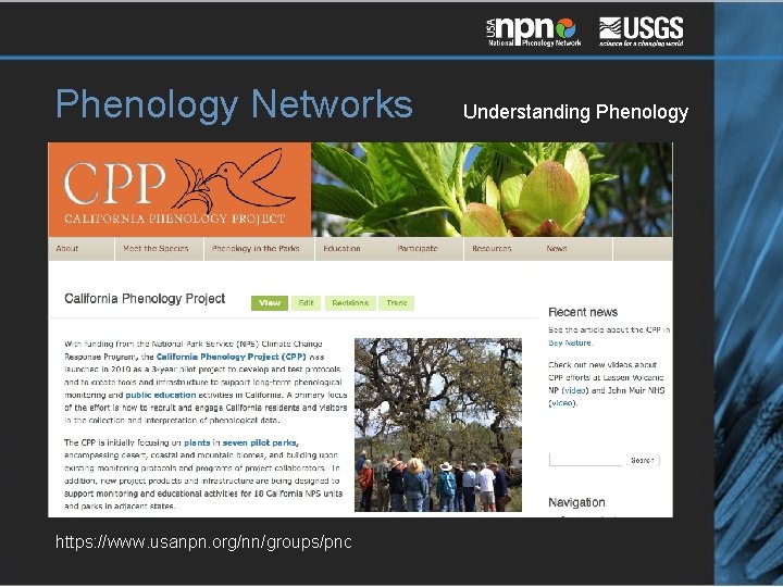 Phenology Networks https: //www. usanpn. org/nn/groups/pnc Understanding Phenology 