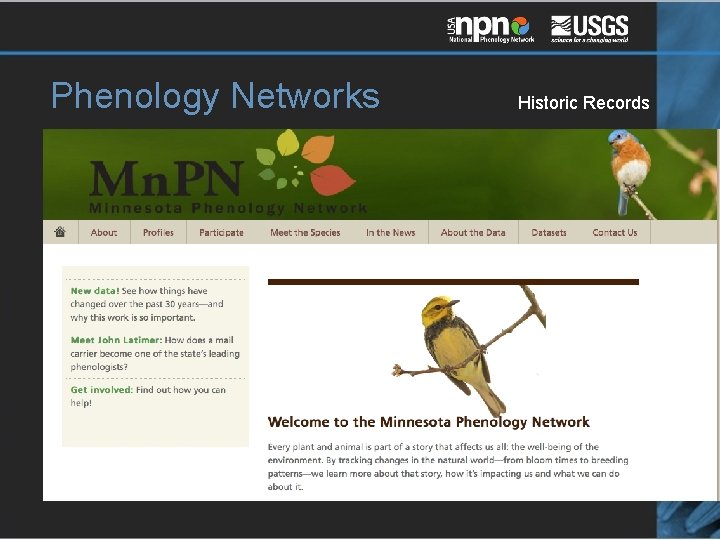 Phenology Networks Historic Records 