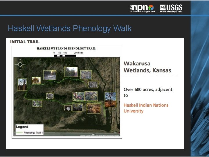 Haskell Wetlands Phenology Walk 