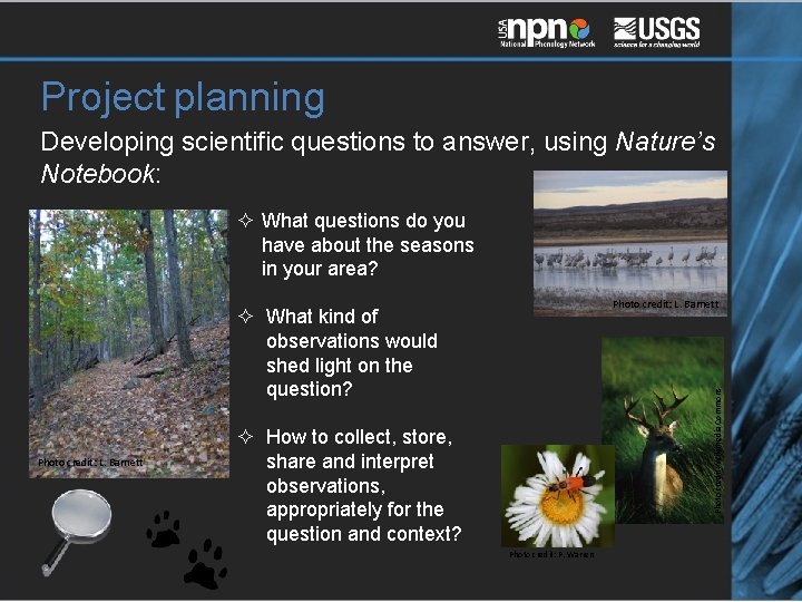 Project planning Developing scientific questions to answer, using Nature’s Notebook: ² What questions do