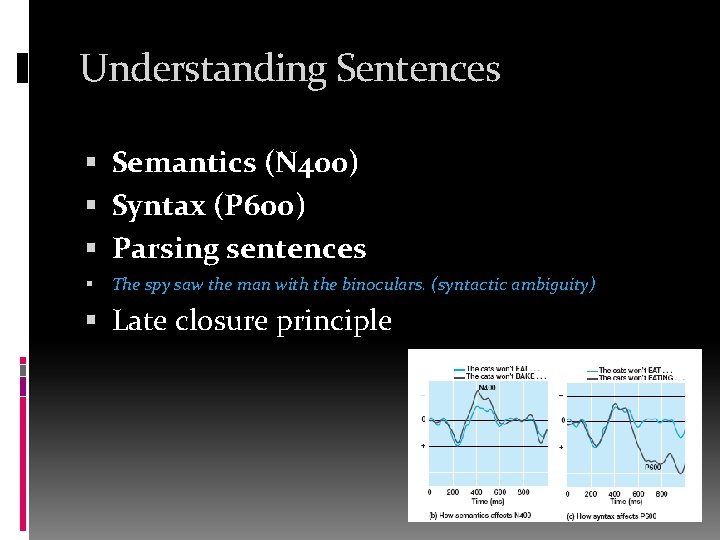 Understanding Sentences Semantics (N 400) Syntax (P 600) Parsing sentences The spy saw the