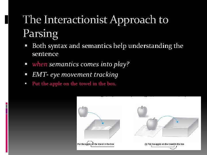 The Interactionist Approach to Parsing Both syntax and semantics help understanding the sentence when