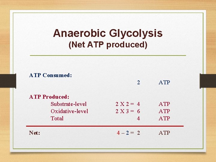 Anaerobic Glycolysis (Net ATP produced) ATP Consumed: 2 ATP Produced: Substrate-level Oxidative-level Total 2