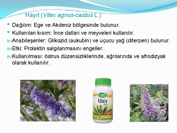 Hayıt (Vitex agnus-castus L. ) • Dağılım: Ege ve Akdeniz bölgesinde bulunur. • Kullanılan