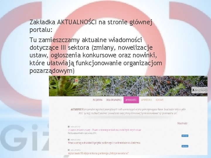 Zakładka AKTUALNOŚCI na stronie głównej portalu: Tu zamieszczamy aktualne wiadomości dotyczące III sektora (zmiany,