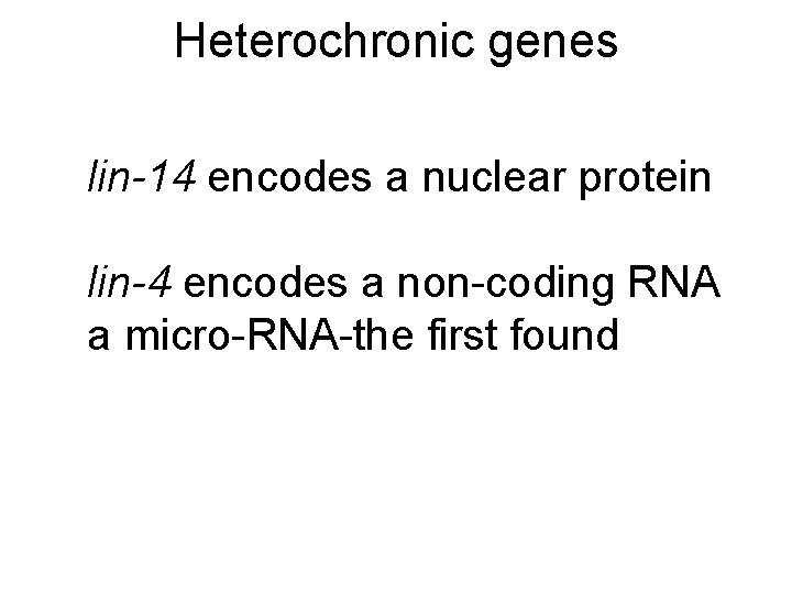 Heterochronic genes lin-14 encodes a nuclear protein lin-4 encodes a non-coding RNA a micro-RNA-the