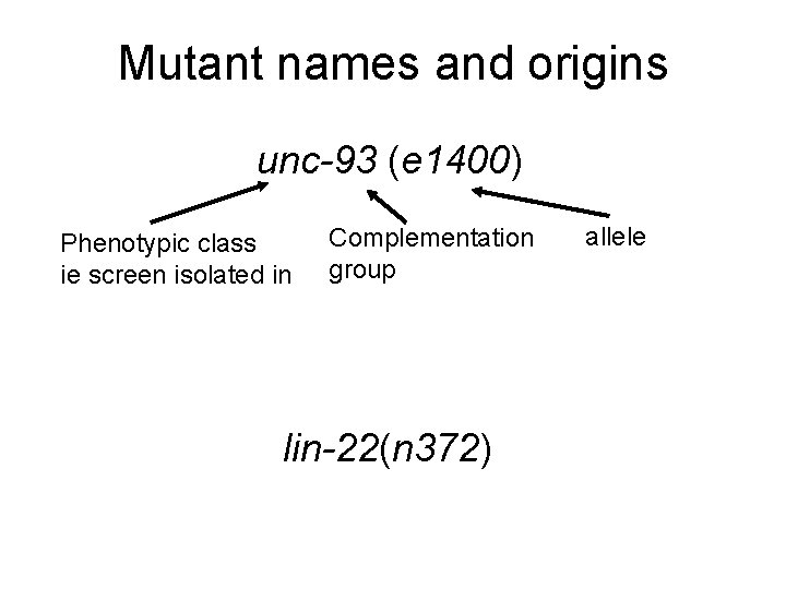 Mutant names and origins unc-93 (e 1400) Phenotypic class ie screen isolated in Complementation