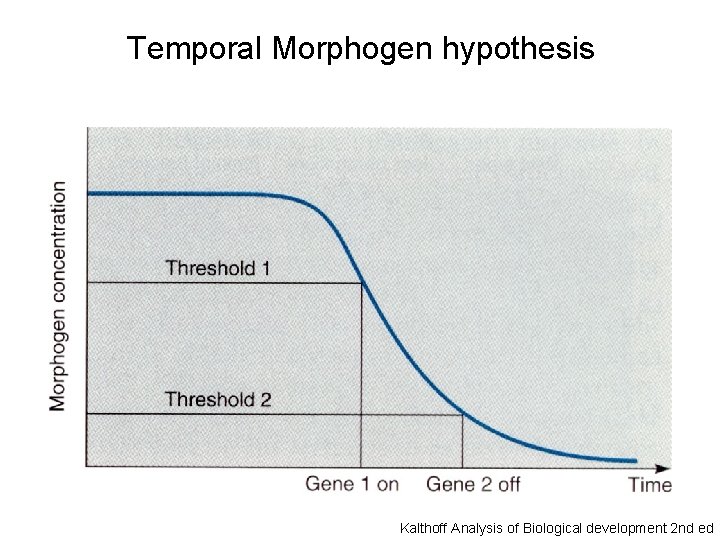 Temporal Morphogen hypothesis Kalthoff Analysis of Biological development 2 nd ed 