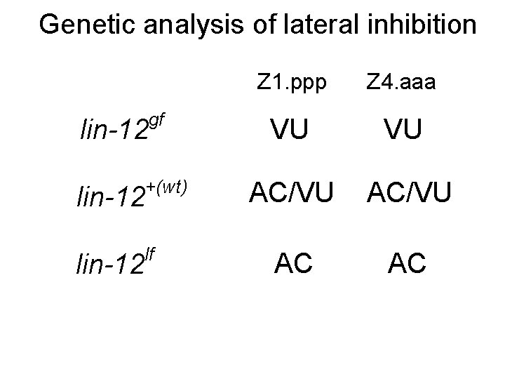 Genetic analysis of lateral inhibition lin-12 gf +(wt) lf Z 1. ppp Z 4.