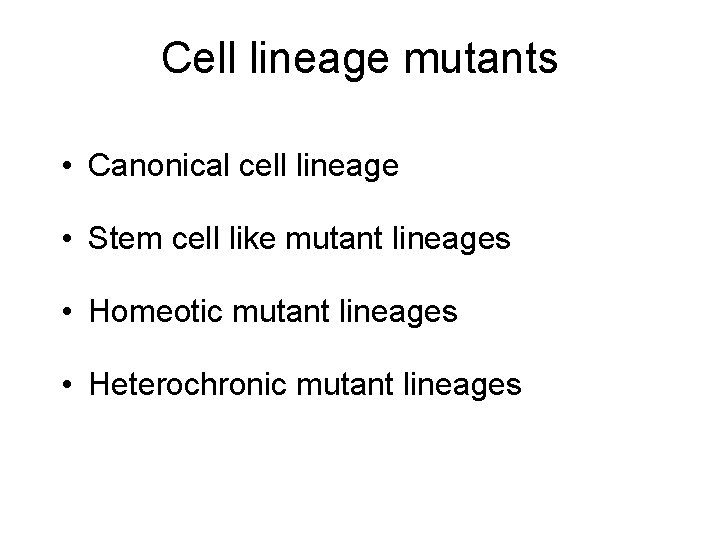 Cell lineage mutants • Canonical cell lineage • Stem cell like mutant lineages •