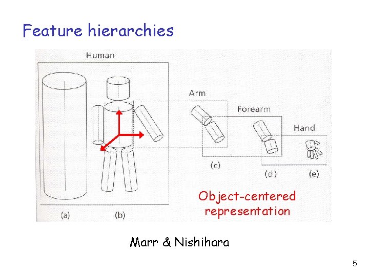 Feature hierarchies Object-centered representation Marr & Nishihara 5 Feature hierarchies Object-centered representation Marr & Nishihara 5