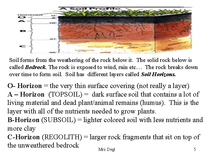 Soil forms from the weathering of the rock below it. The solid rock below