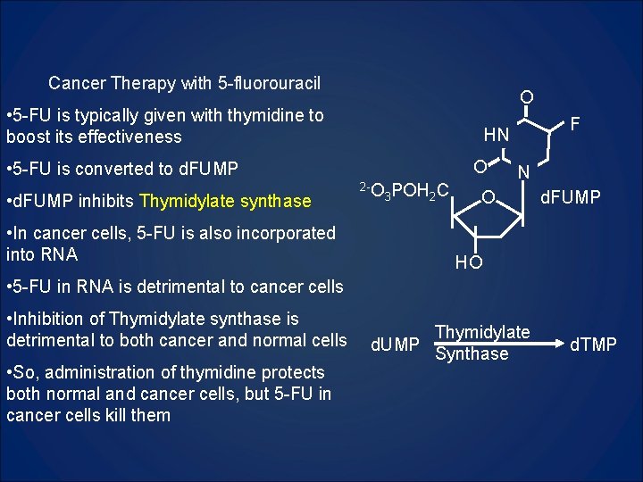 Cancer Therapy with 5 -fluorouracil O • 5 -FU is typically given with thymidine